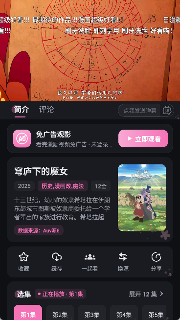 AuvFun 截图：shot-player