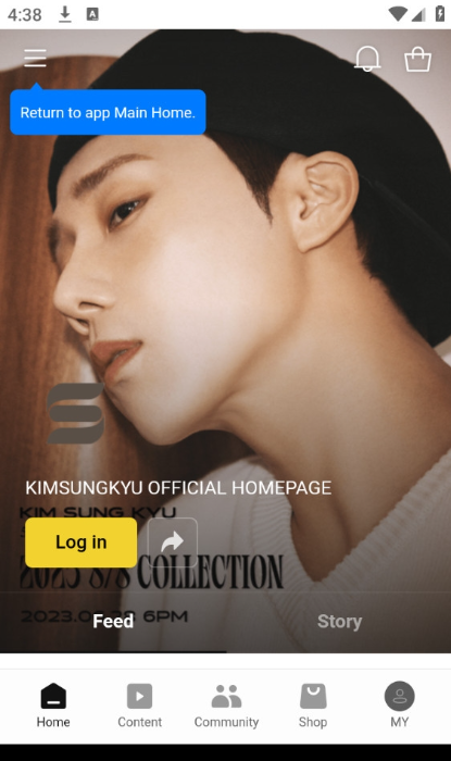 b.stage 截图：artist-home