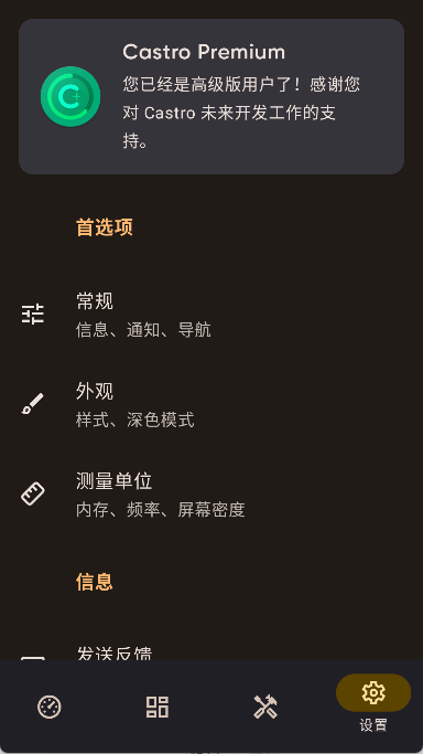 Castro 截图：ui-settings