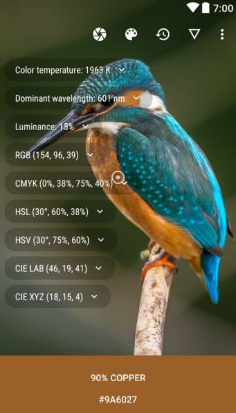 Color Picker 截图：shot-camera