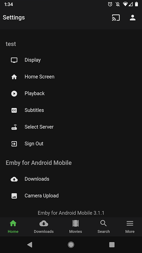 Emby 截图：settings
