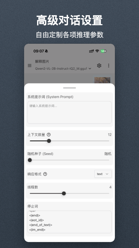 Local AI 截图：chat-params