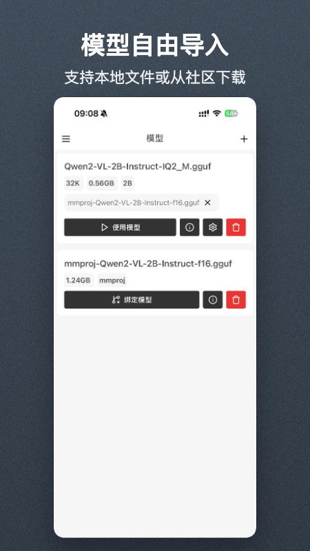 Local AI 截图：model-import