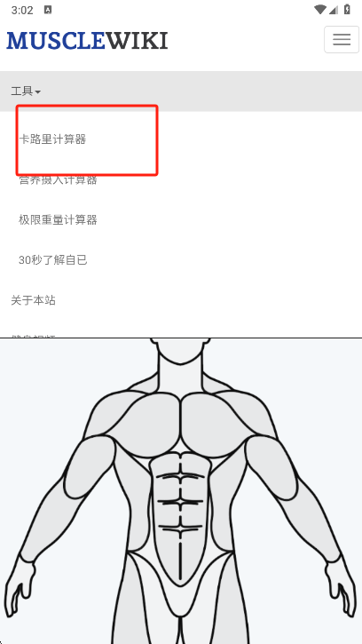 MuscleWiki 截图：03_408x725