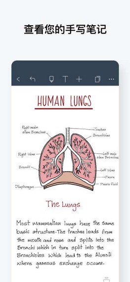 noteshelf 截图：shot-notes