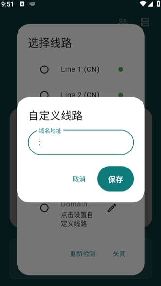 Olib 截图：custom-line
