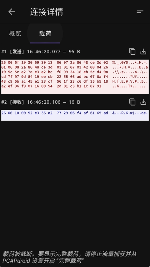 PCAPdroid 截图：payload-hex