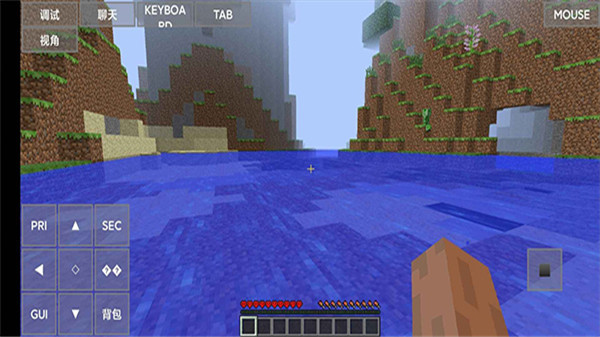 PojavLauncher 截图：gameplay-2