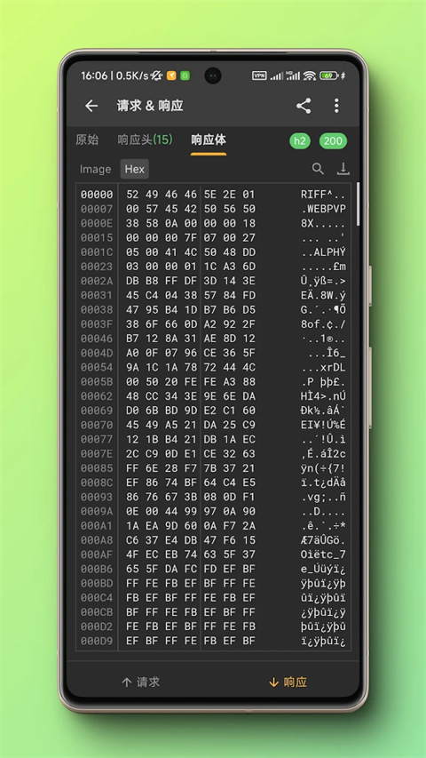 reqable 截图：shot-response-hex