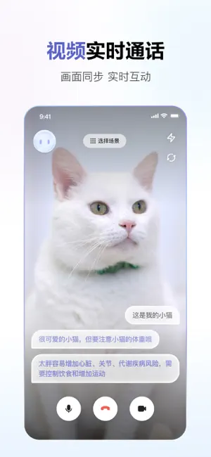 sensetime 截图：shot-video