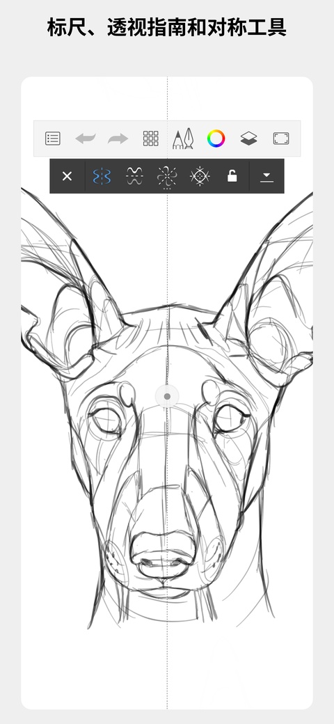 sketchbook 截图：shot-symmetry