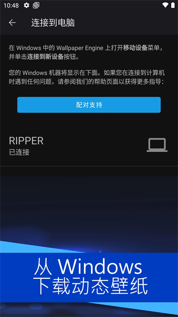 wallpaperengine 截图：04_360x640