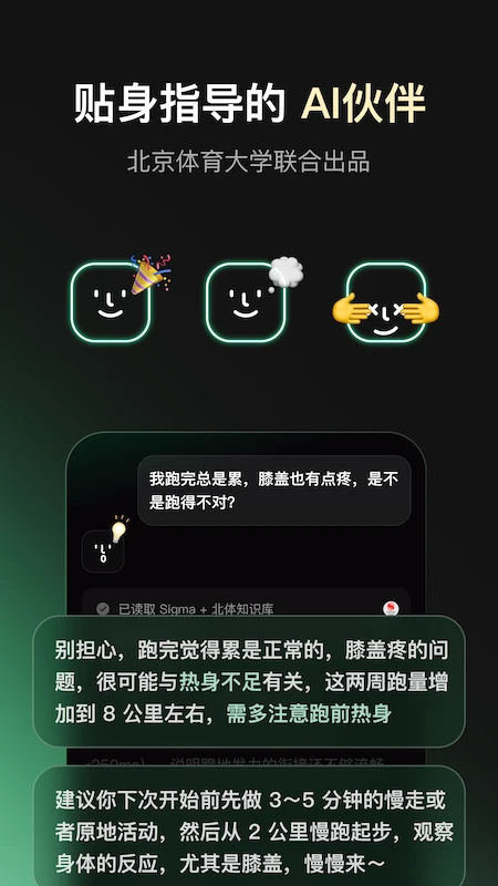 Sigma 截图：sigma-ai-chat